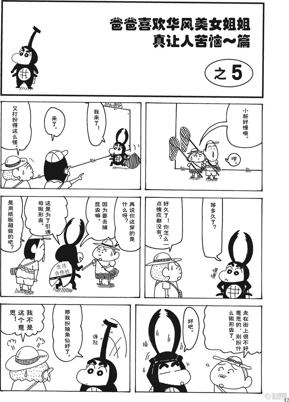 第43页