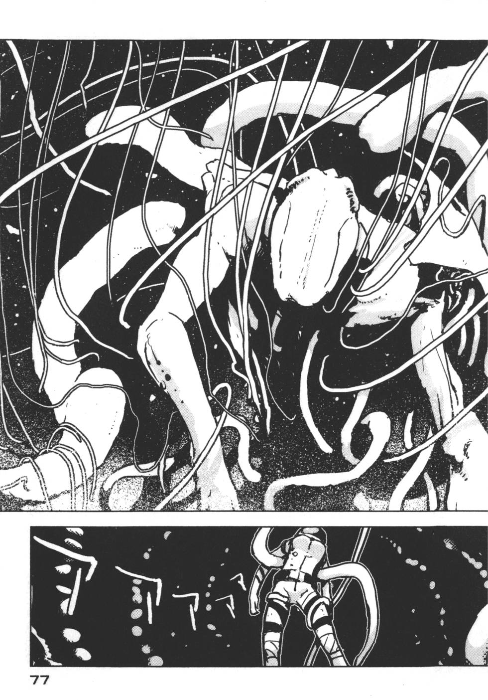 第77页