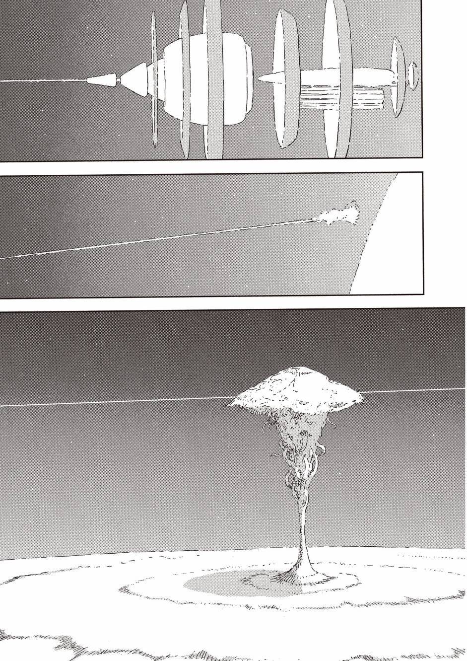 第207页