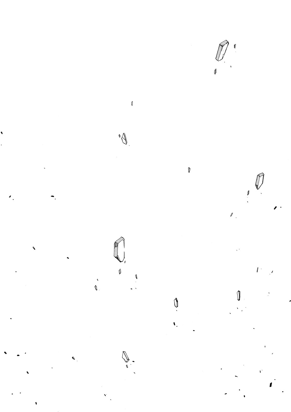 第217页