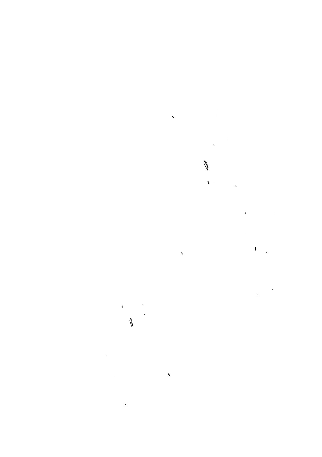 第218页