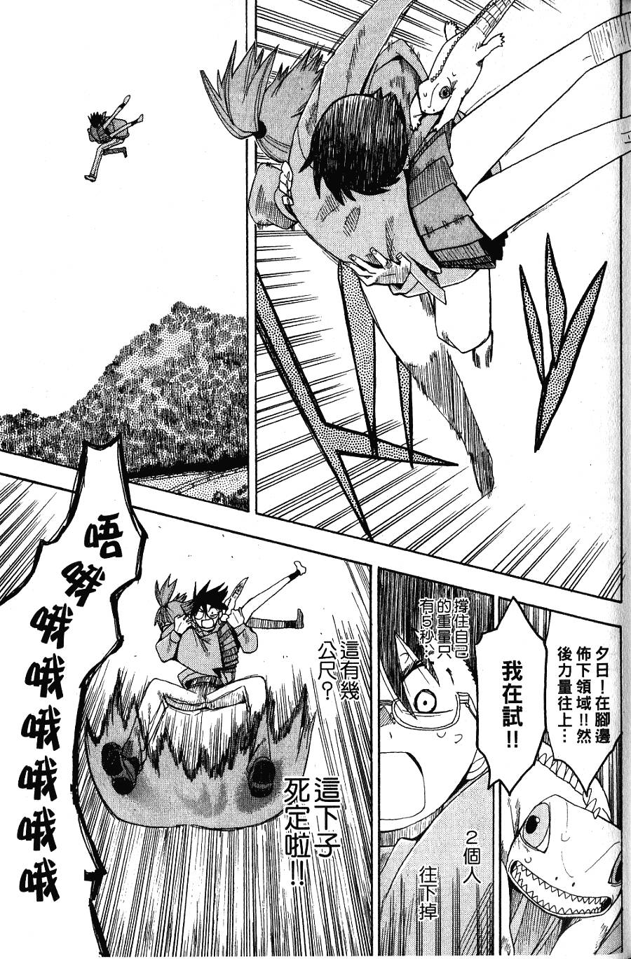 第44页