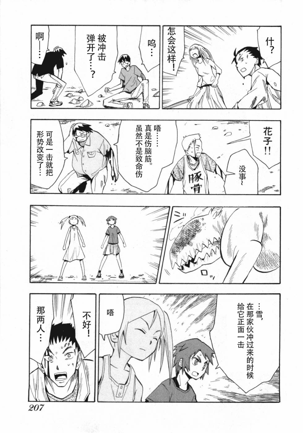 第204页