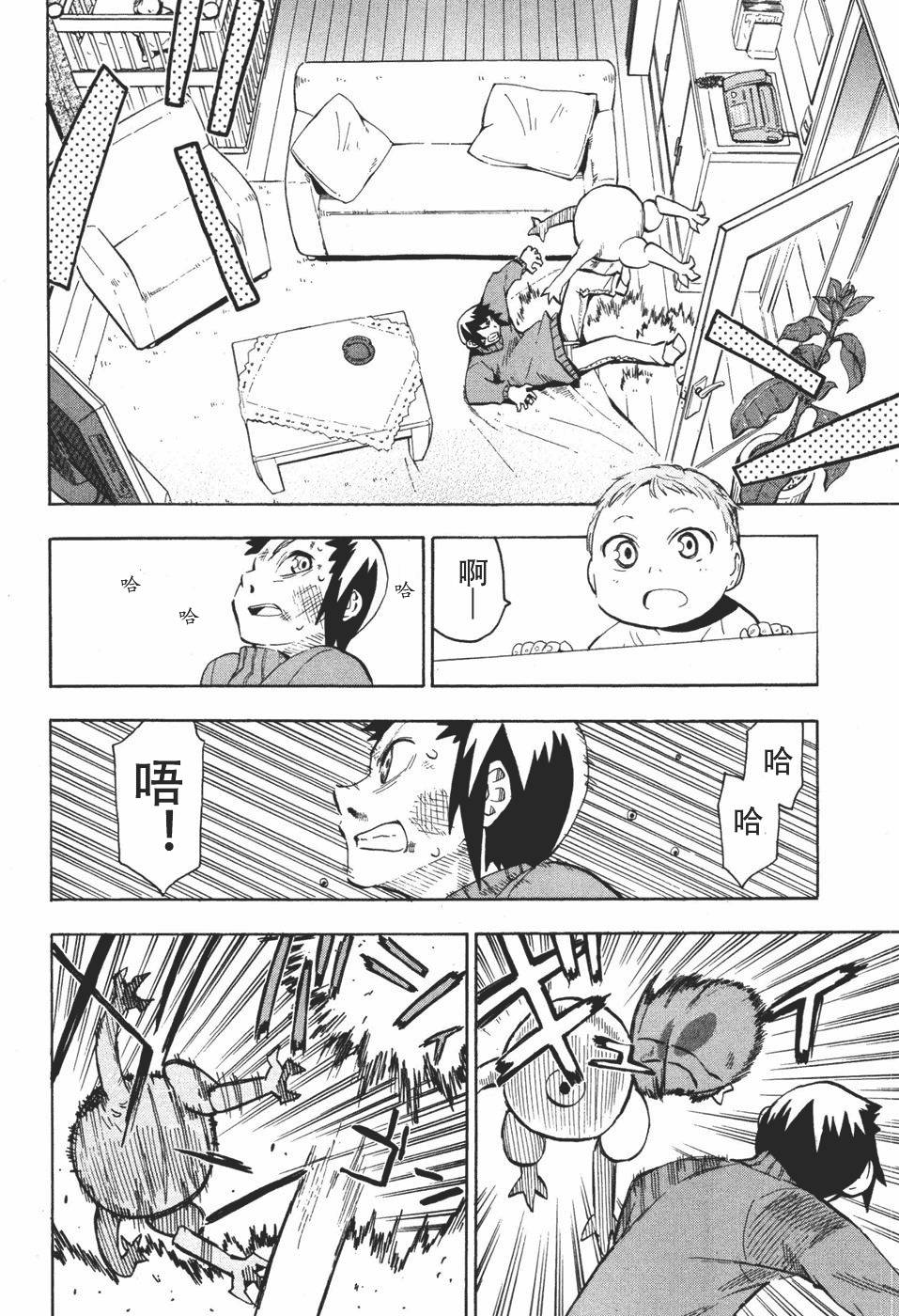 第204页