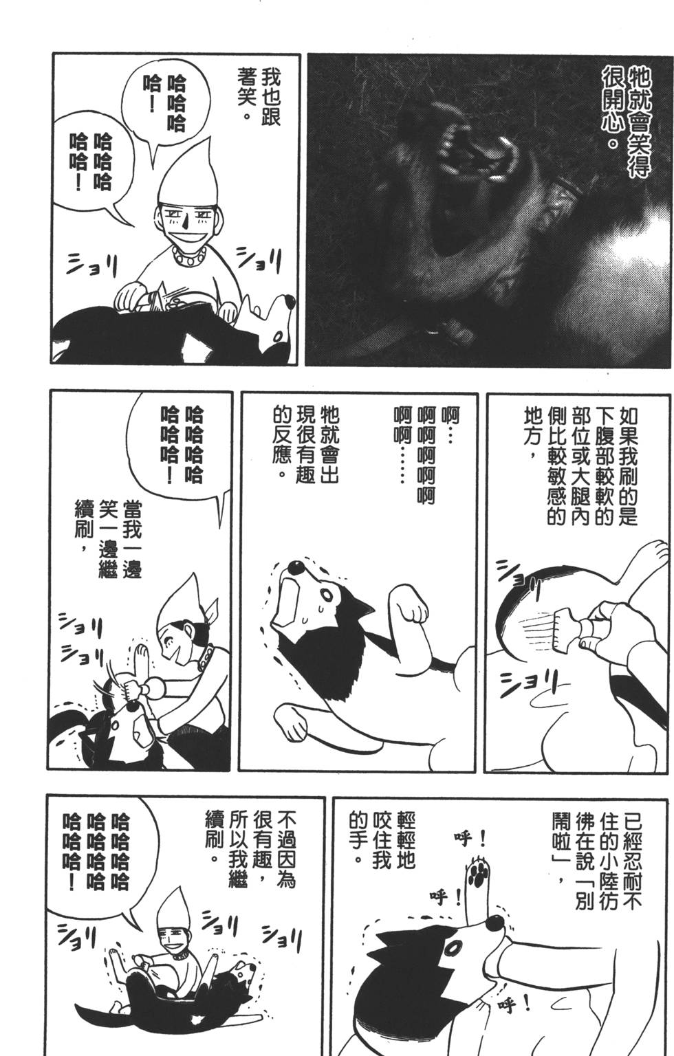 第185页