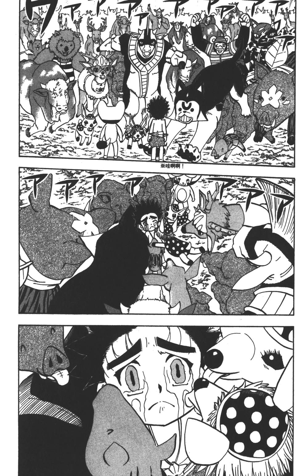 第51页