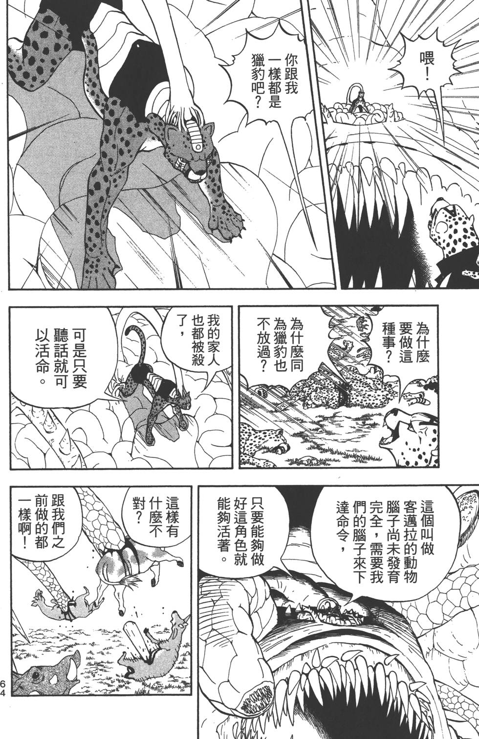 第62页
