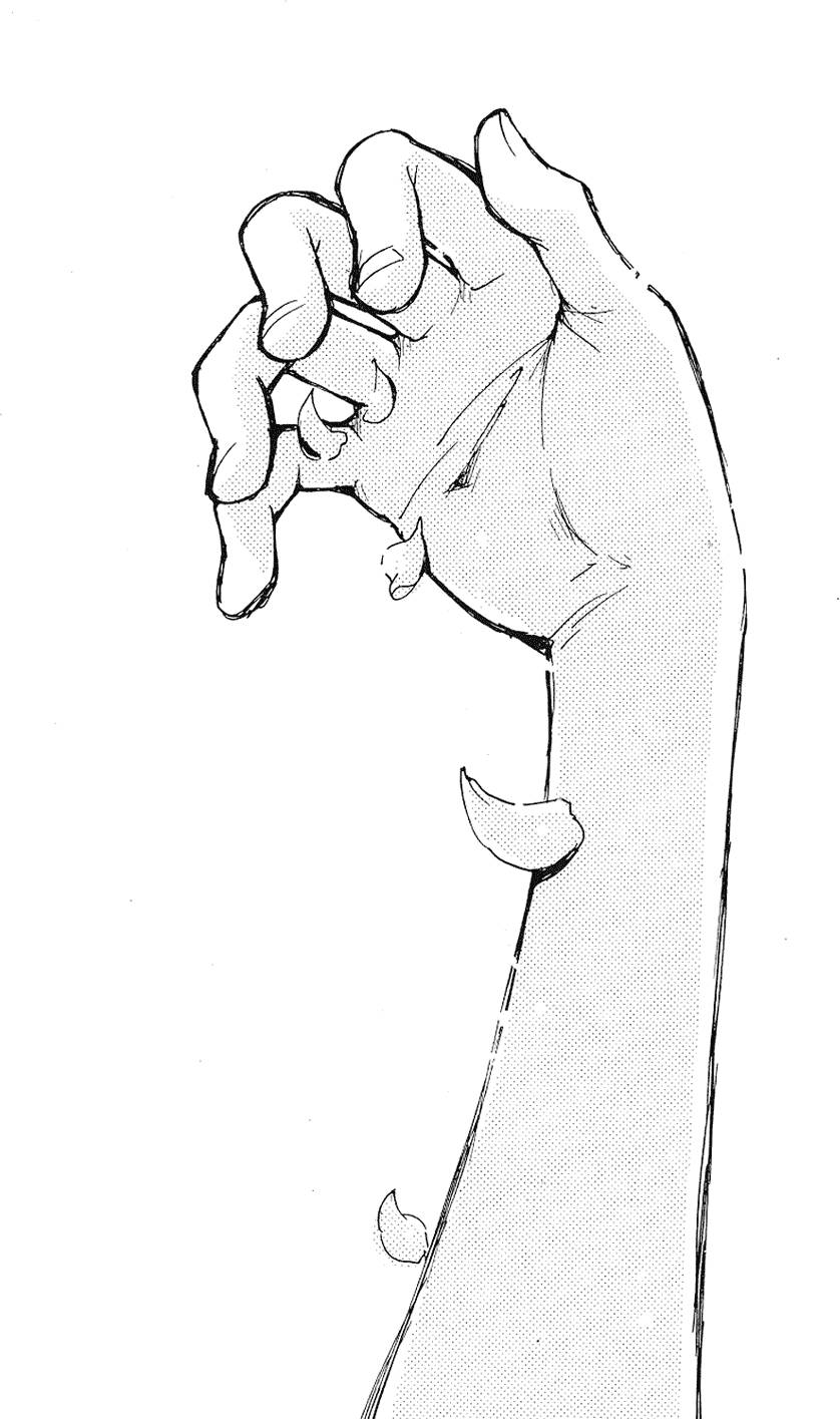 第175页