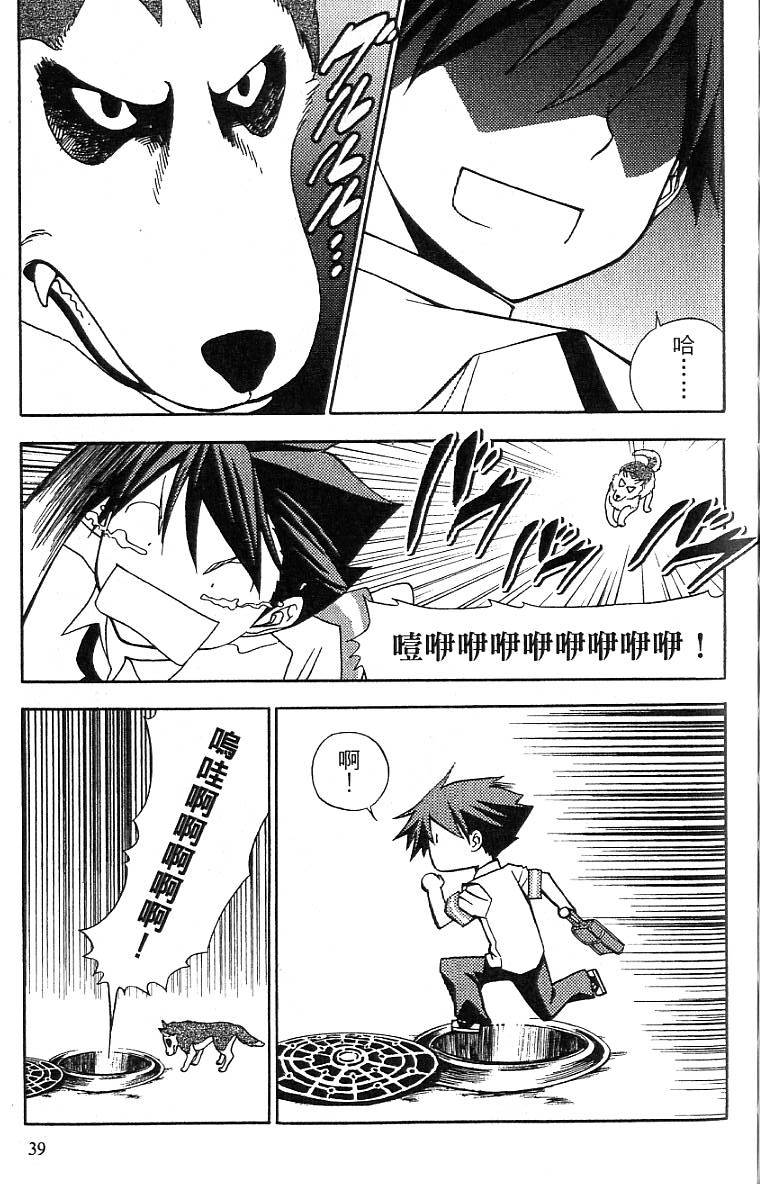 第36页
