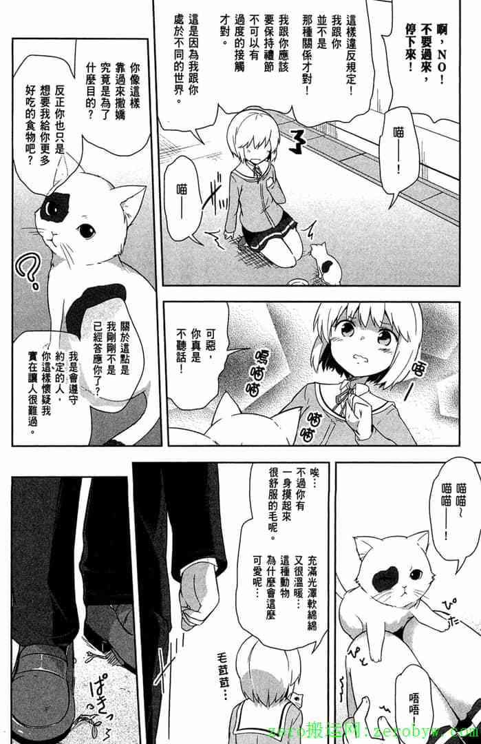 第81页
