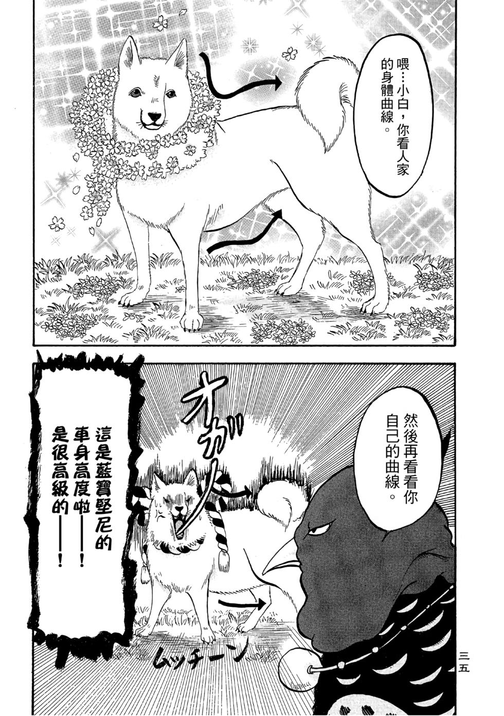 第34页