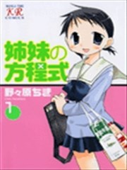 姐妹的方程式