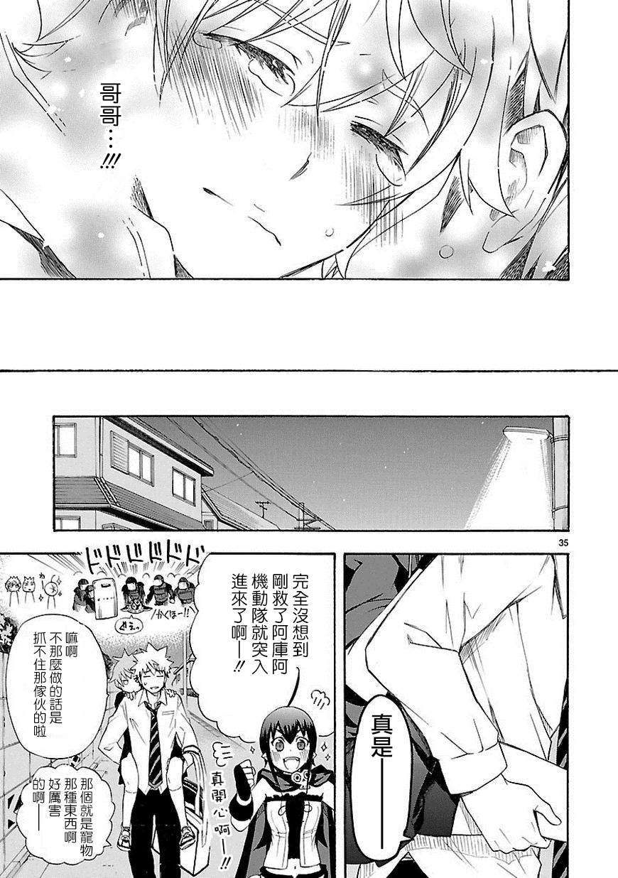 第33页