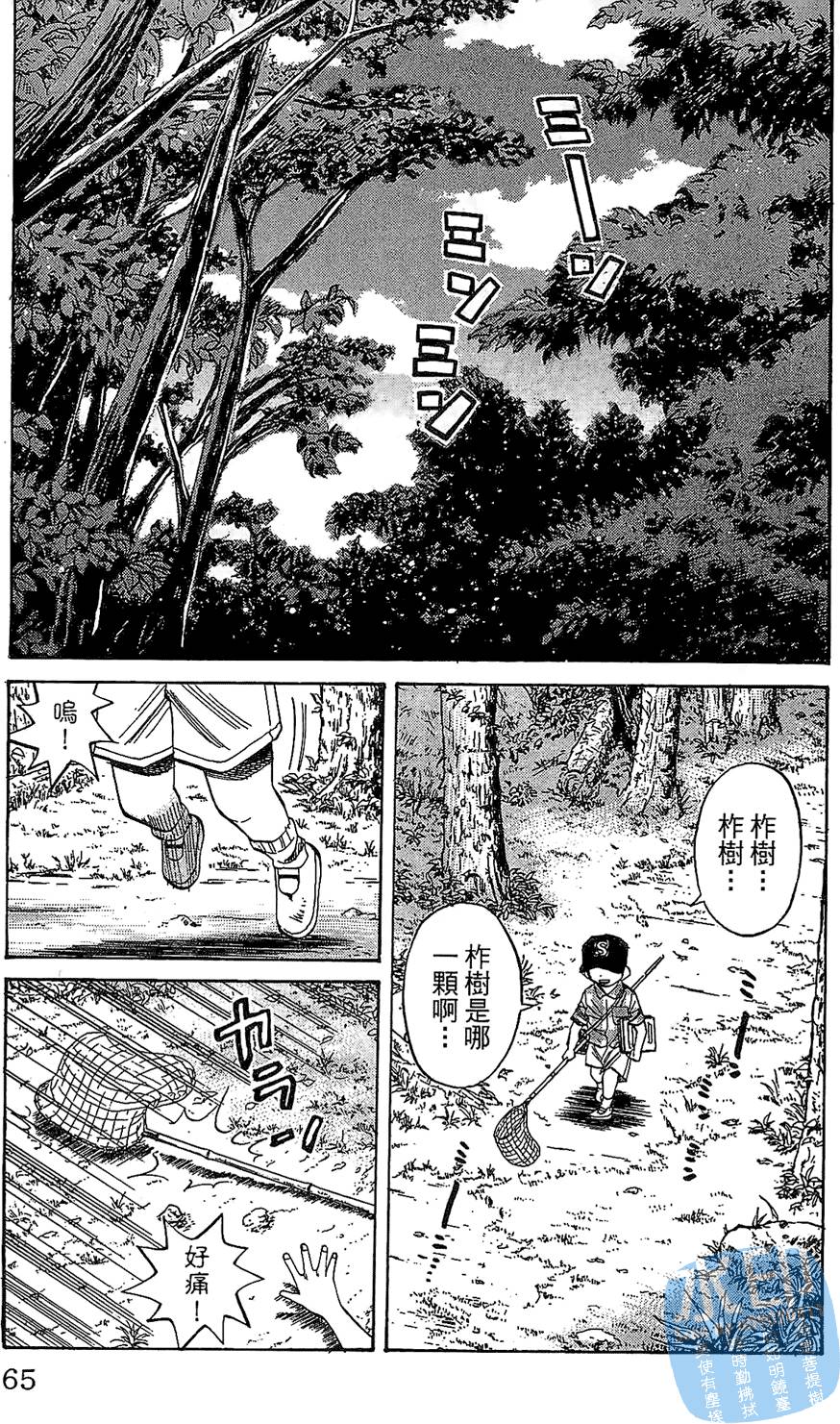第62页