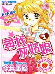 寻找灰姑娘