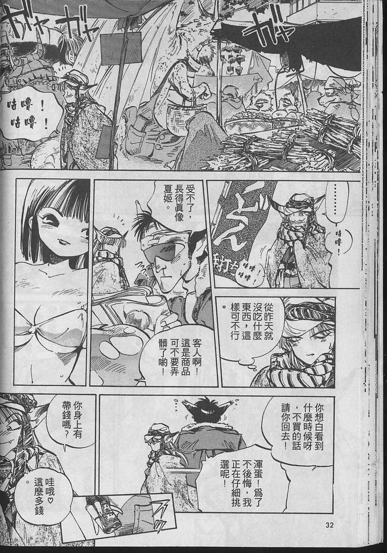 第31页