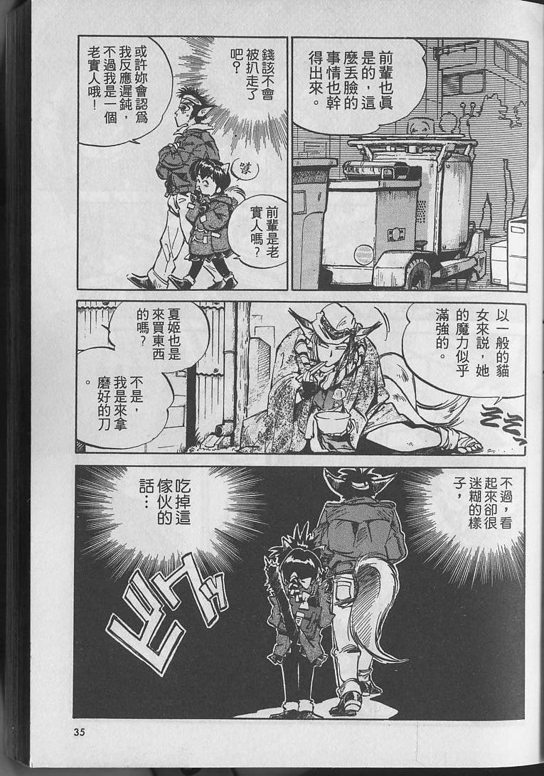 第34页