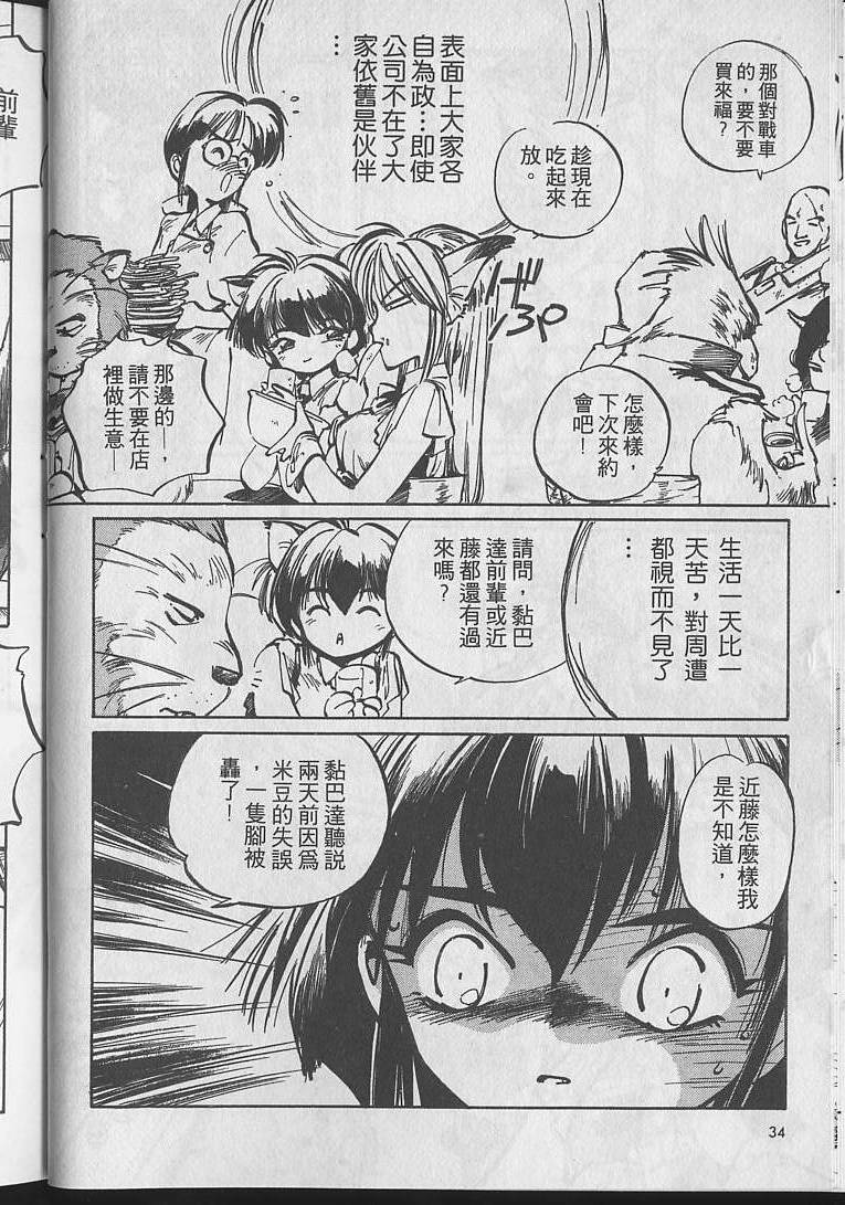 第33页