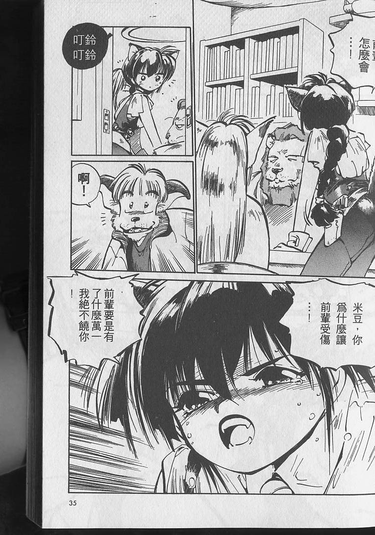 第34页