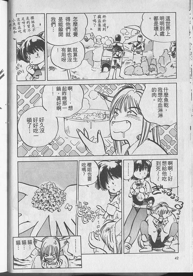 第41页