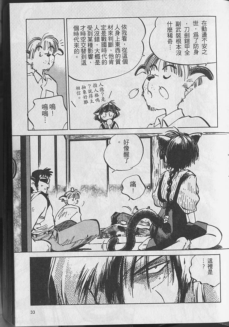 第32页