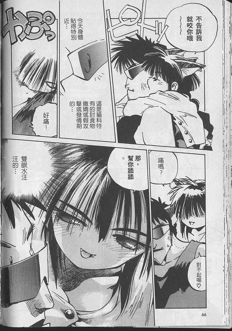 第65页