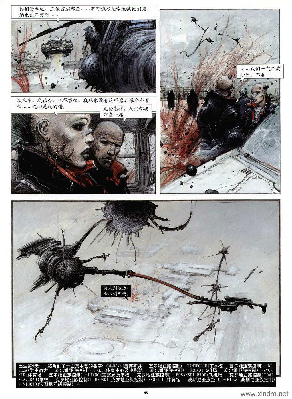 第43页