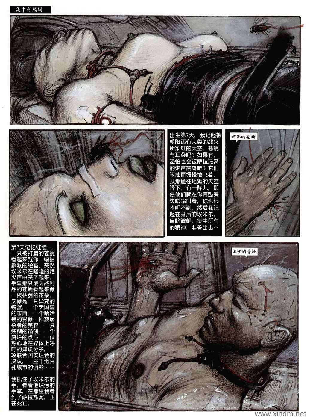 第48页