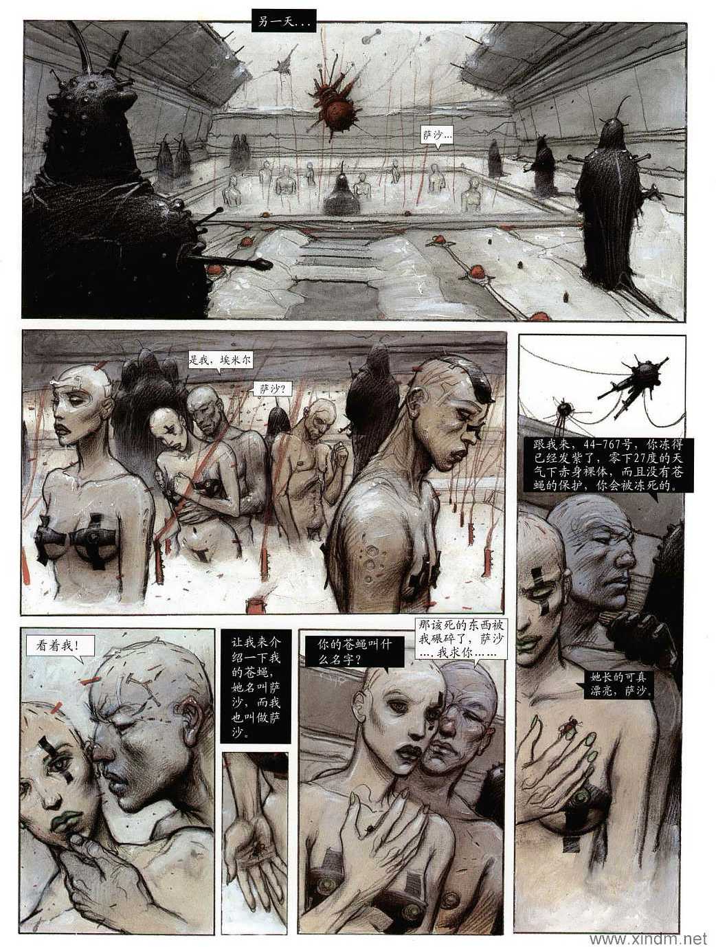 第52页