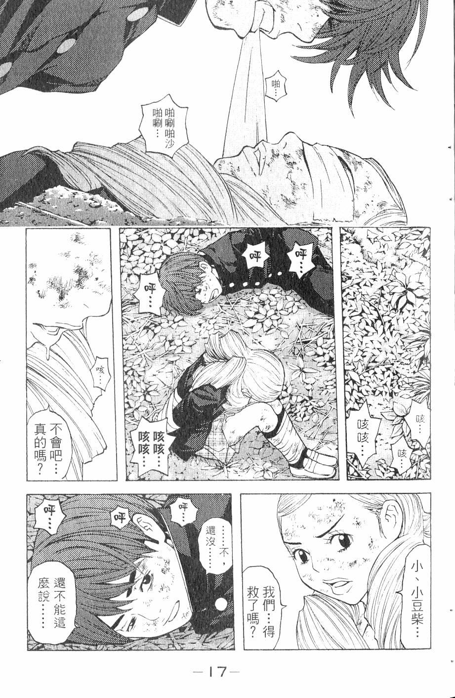 第17页