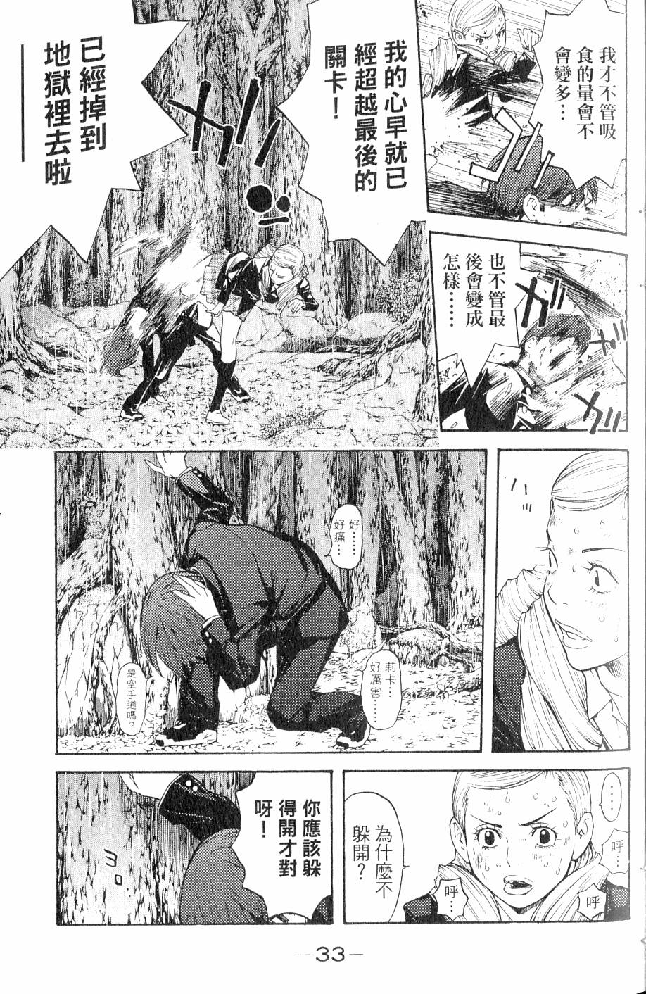 第33页