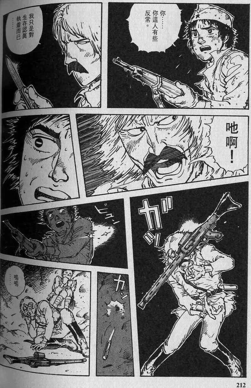 第213页