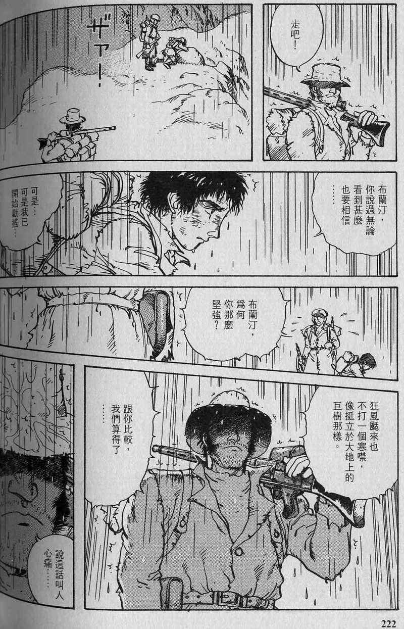 第223页