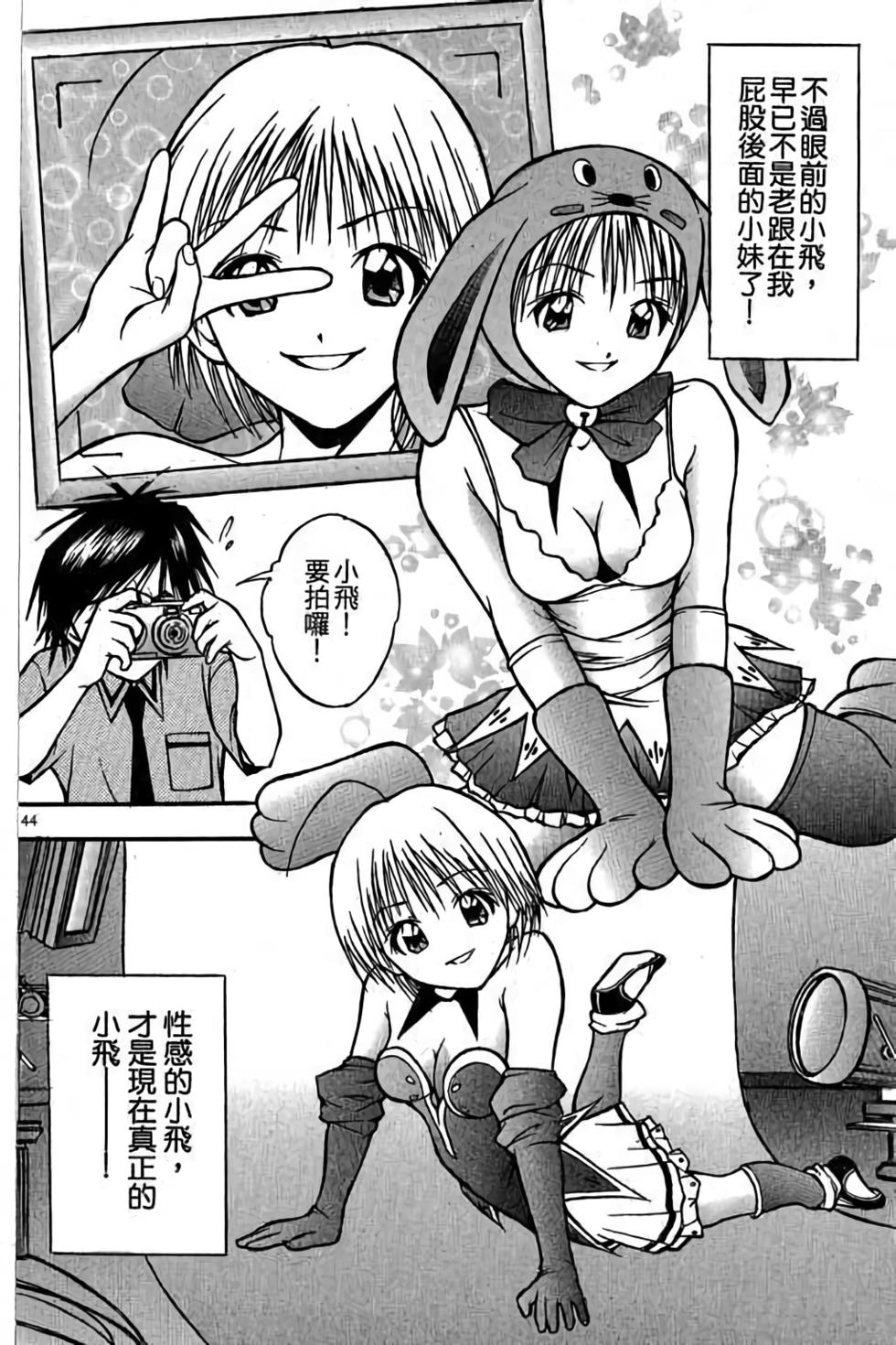 第43页