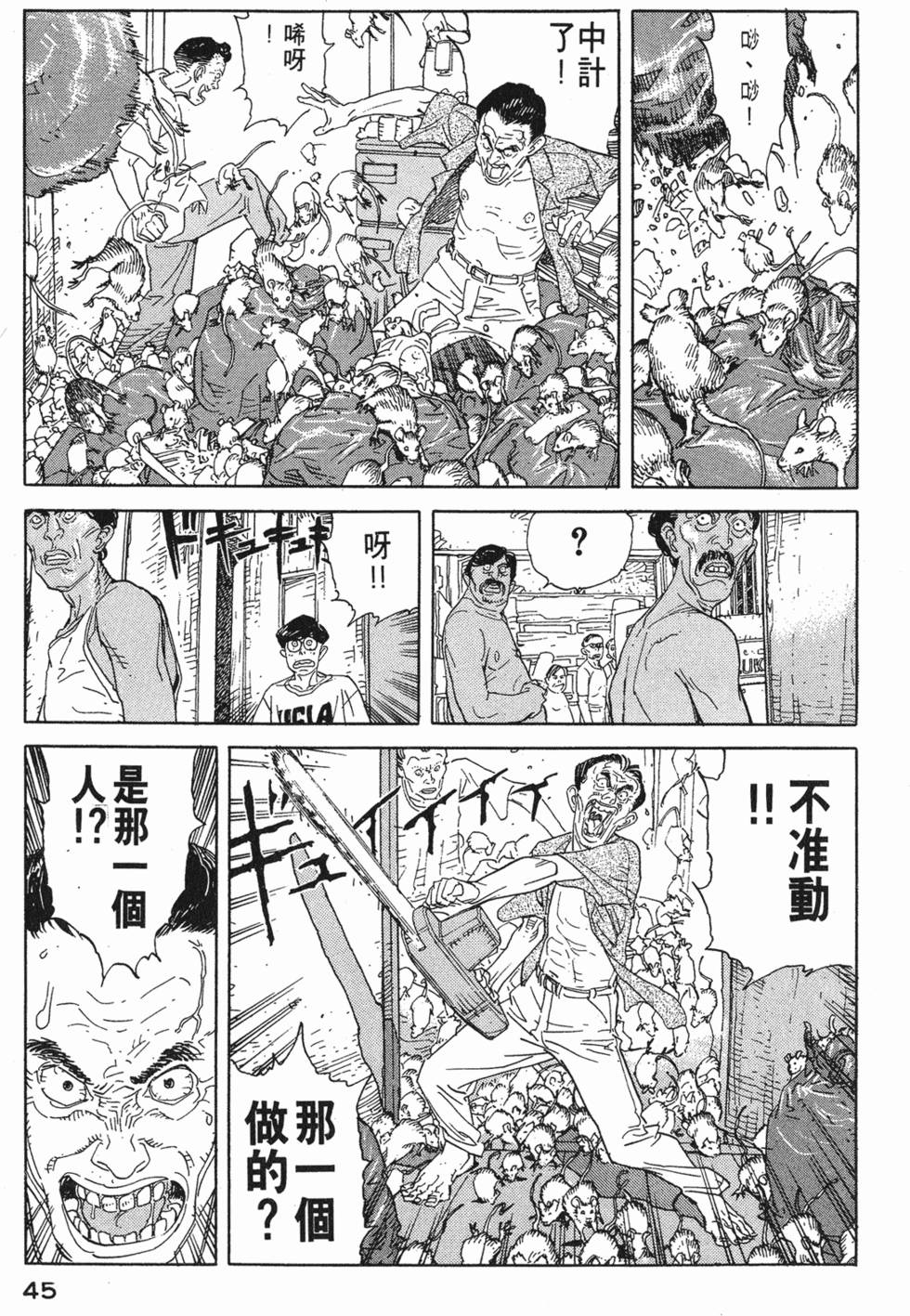 第44页