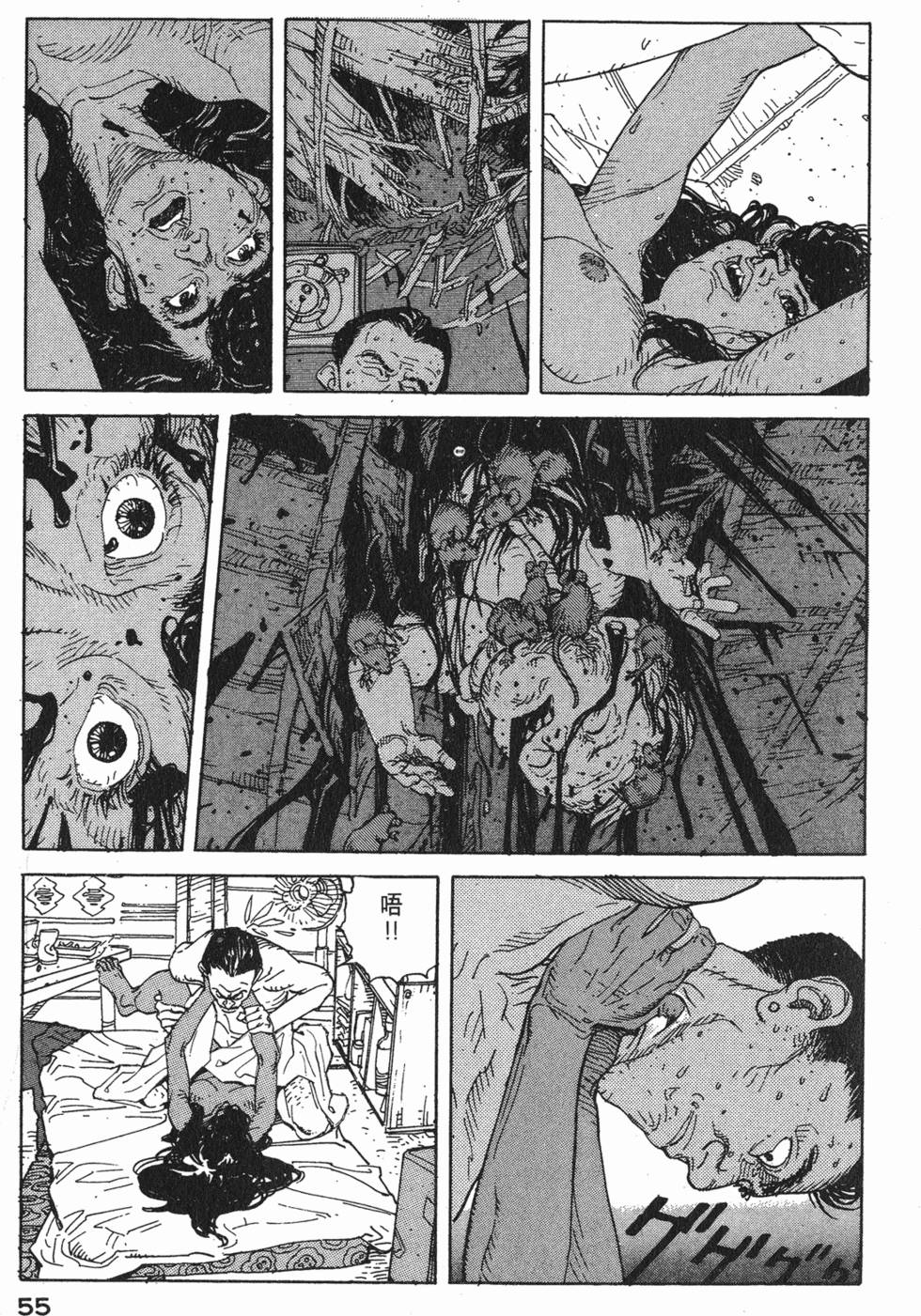 第54页