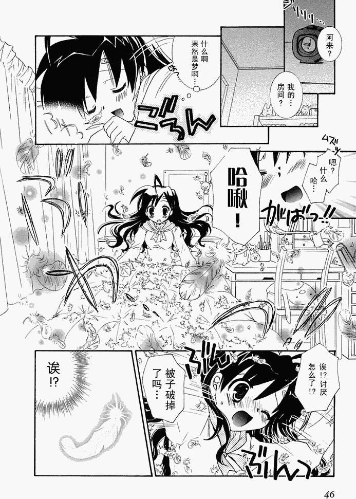 第43页