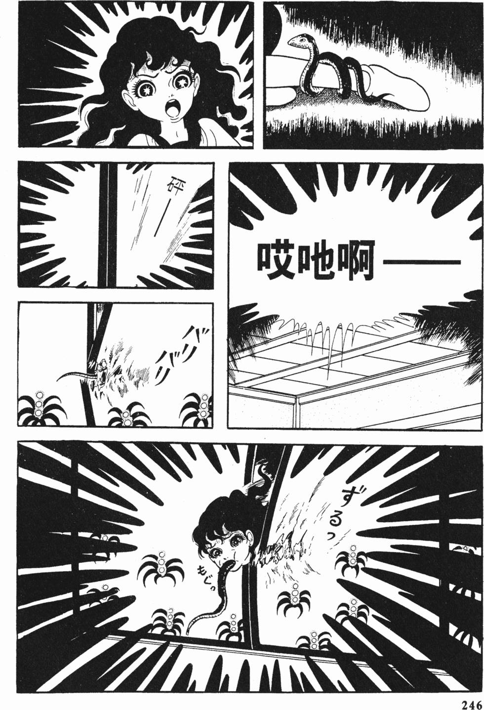 第243页