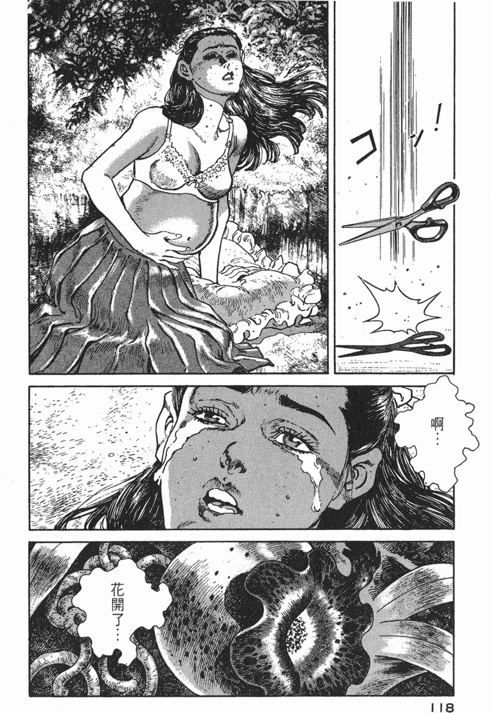 第116页