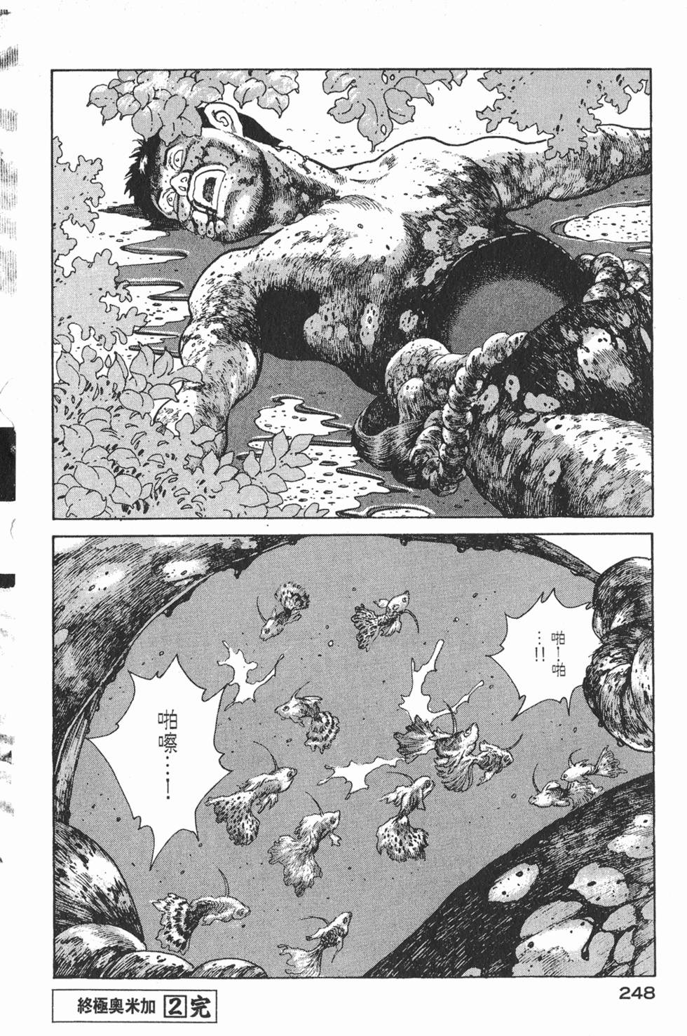 第246页