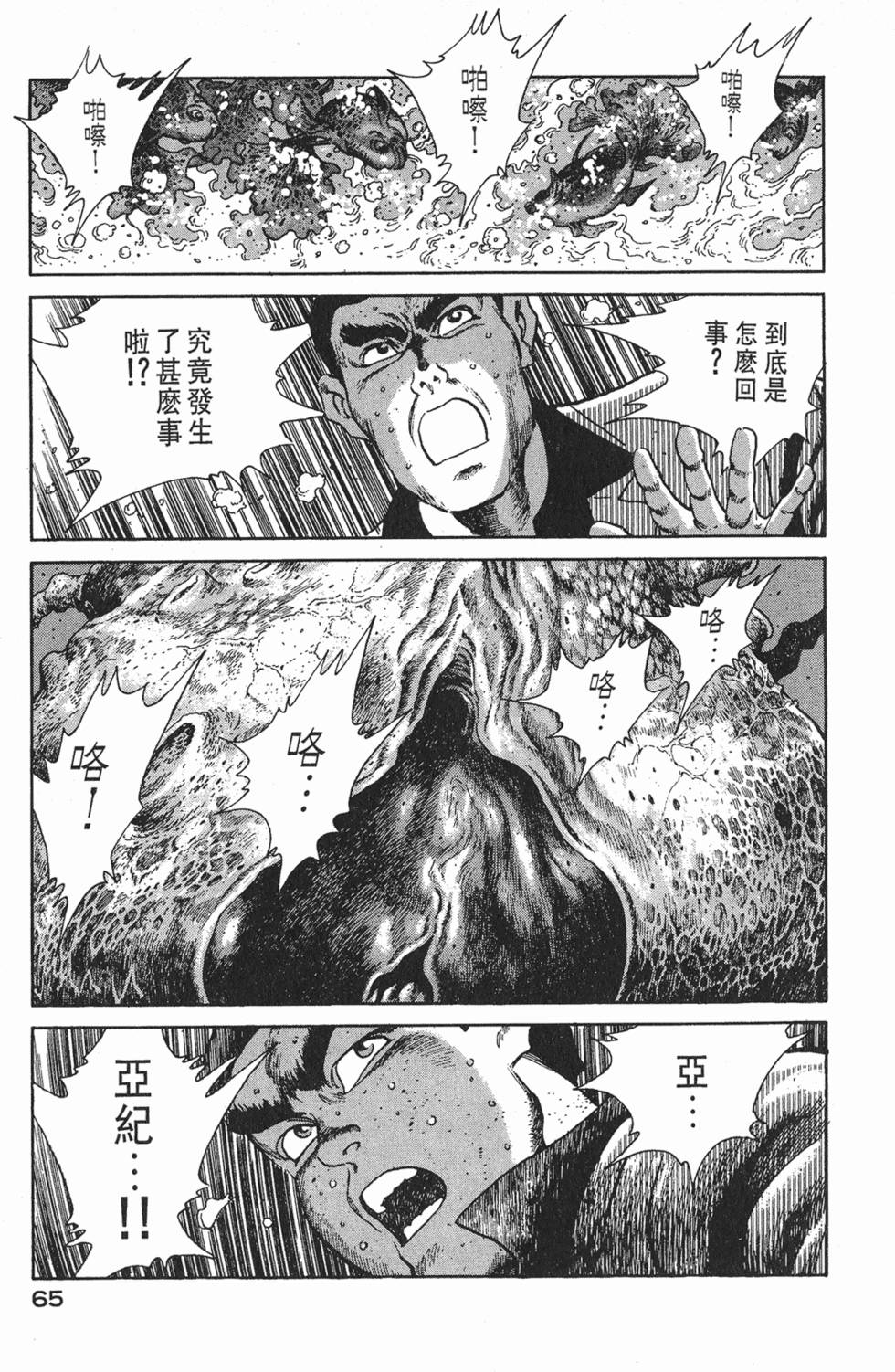 第63页