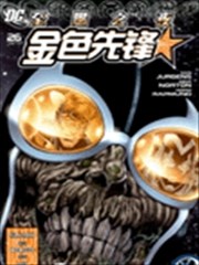 至黑之夜 金色先锋