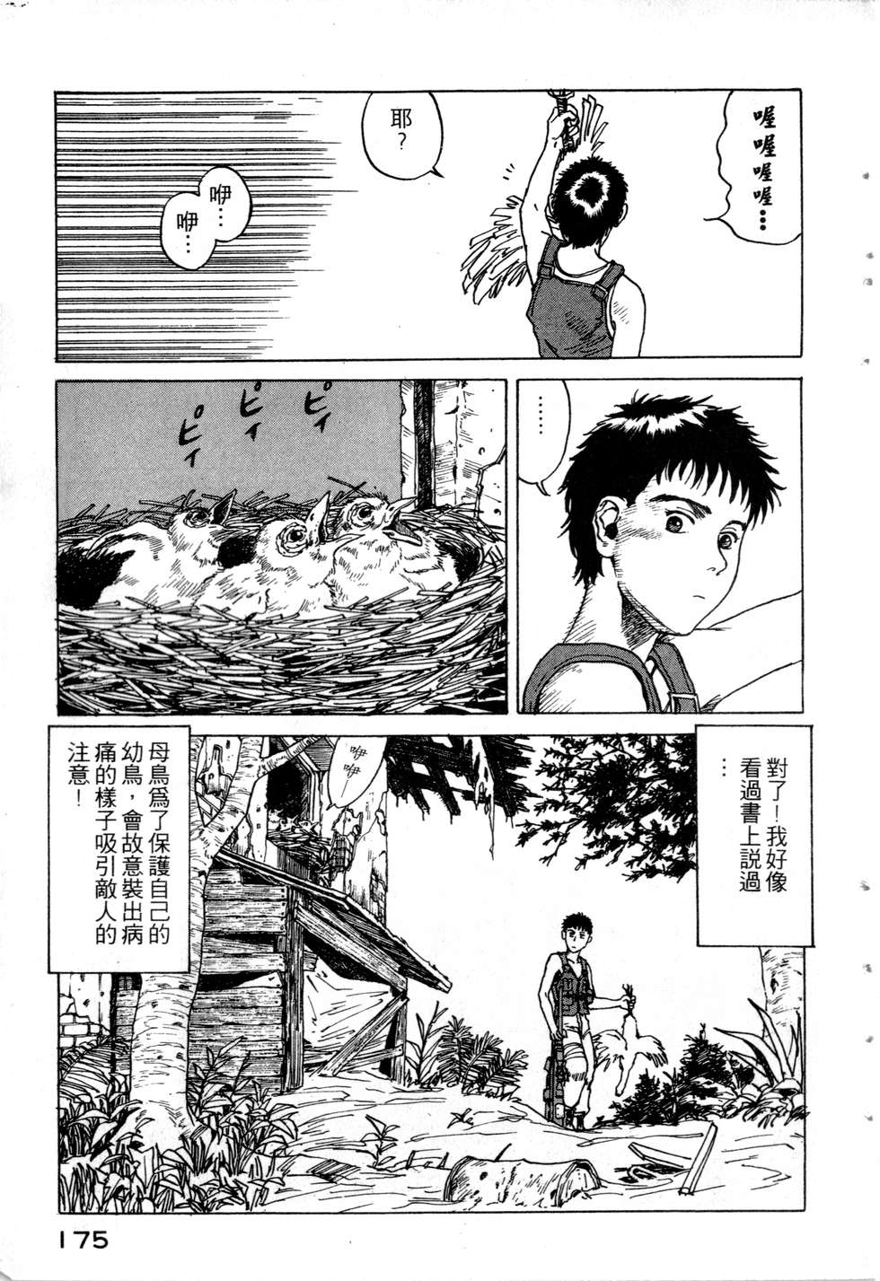 第172页