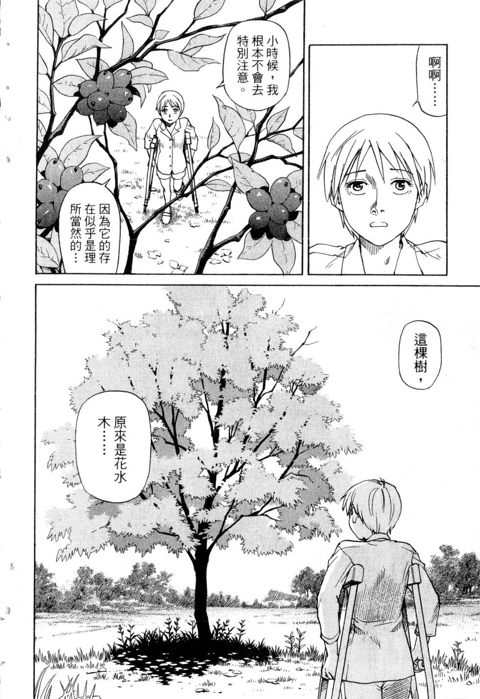 第217页
