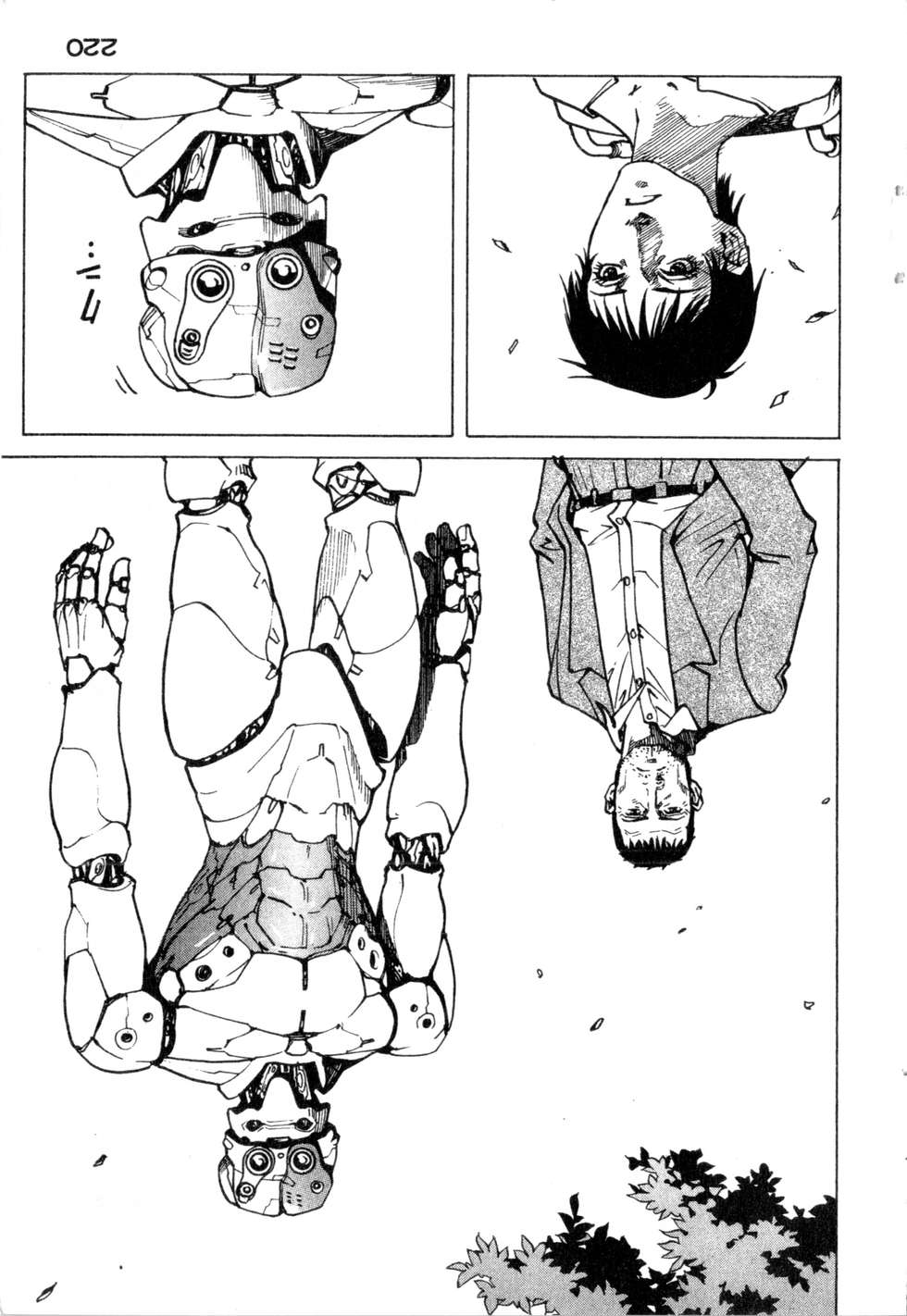 第217页