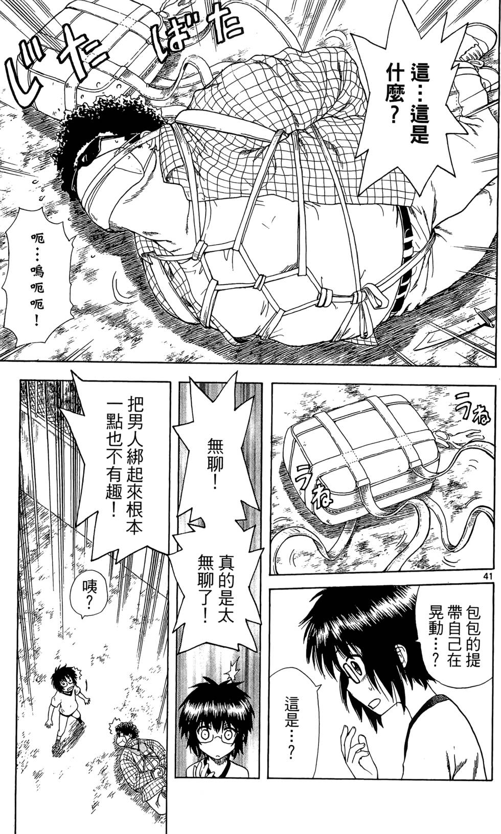 第41页