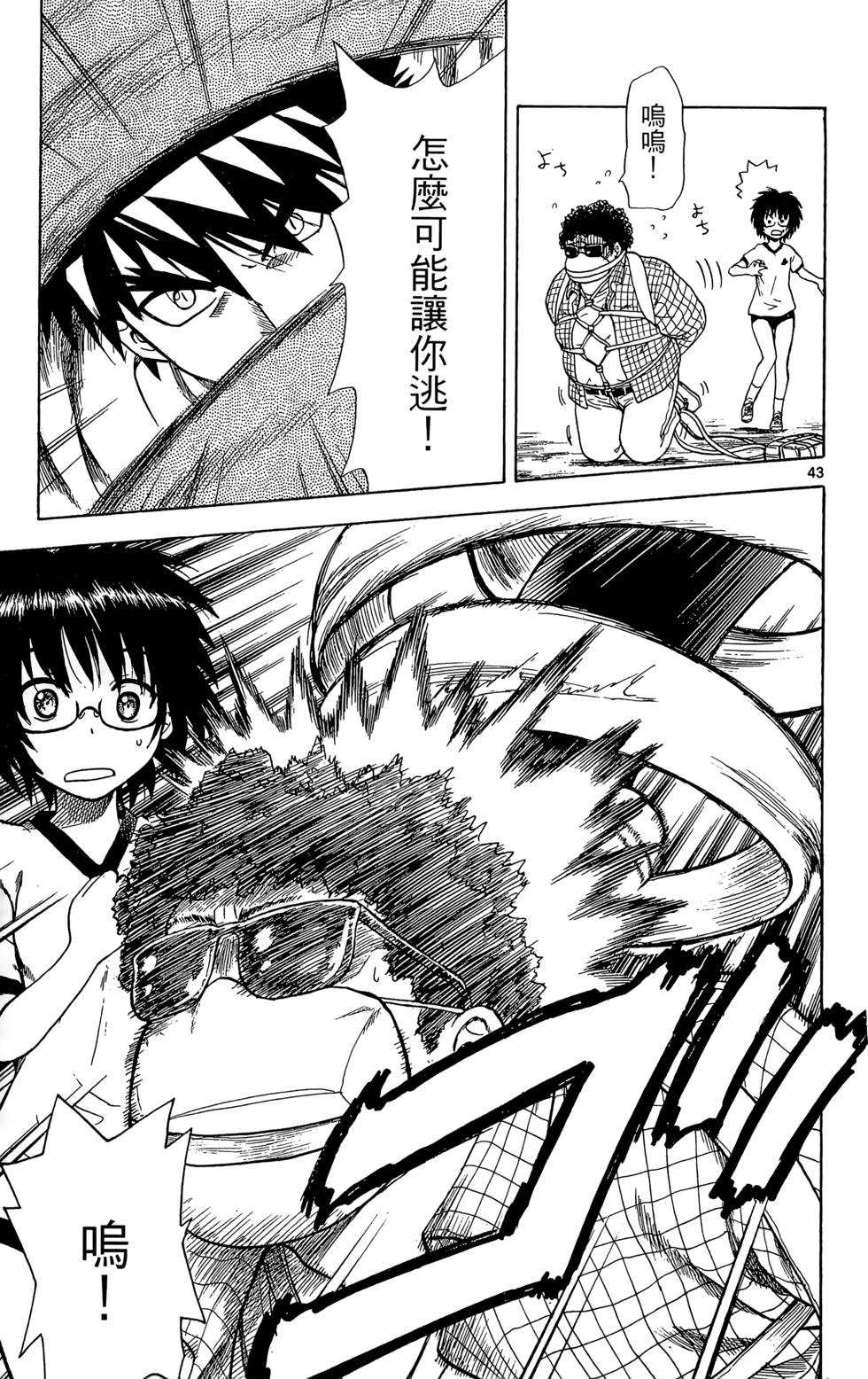 第43页