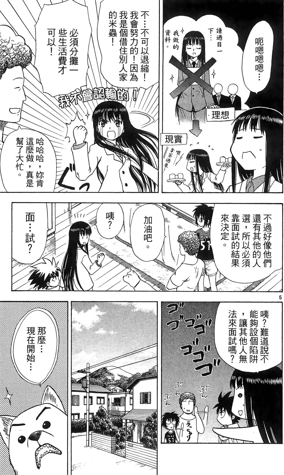 第43页