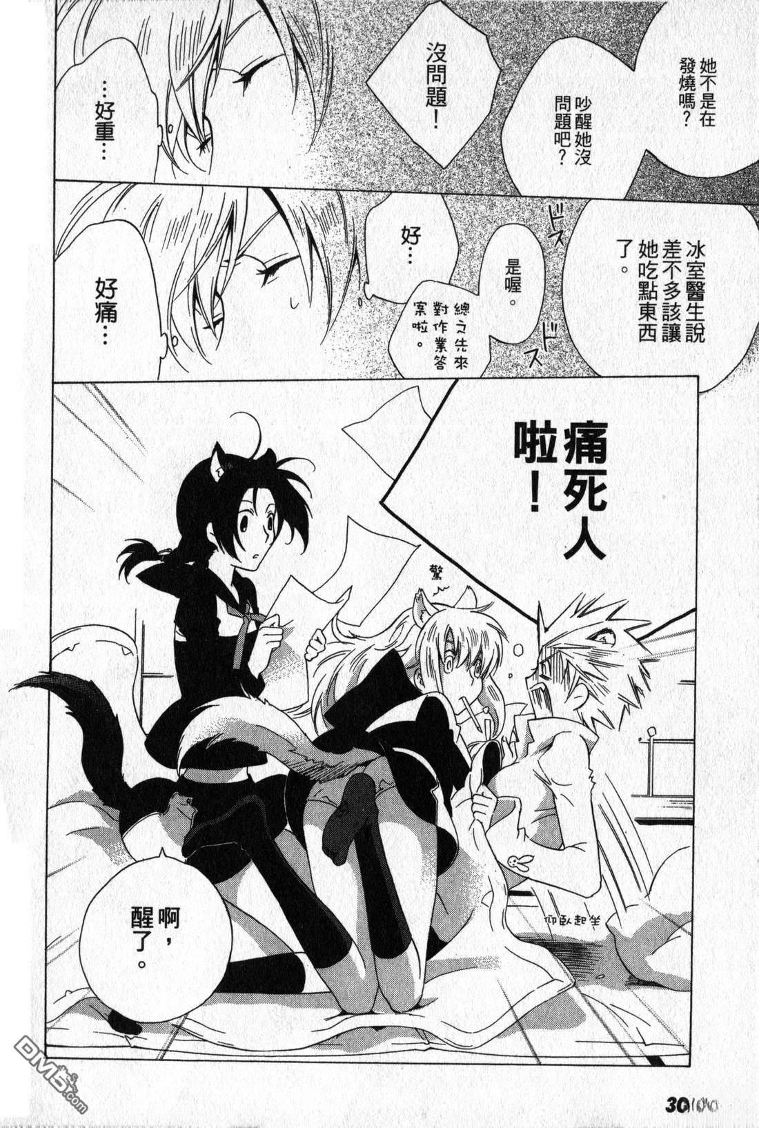 第28页