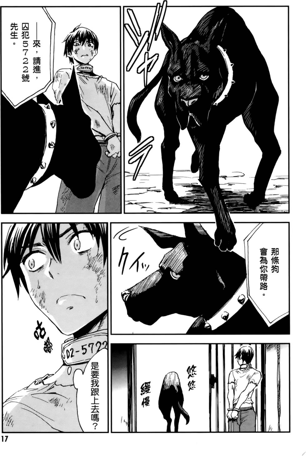第17页